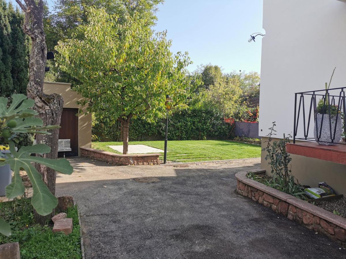 La Maison De Lucie - Grande Maison Ideale En Famille Ou Entre Amis - Jardin - Parking Gratuit Sélestat Buitenkant foto