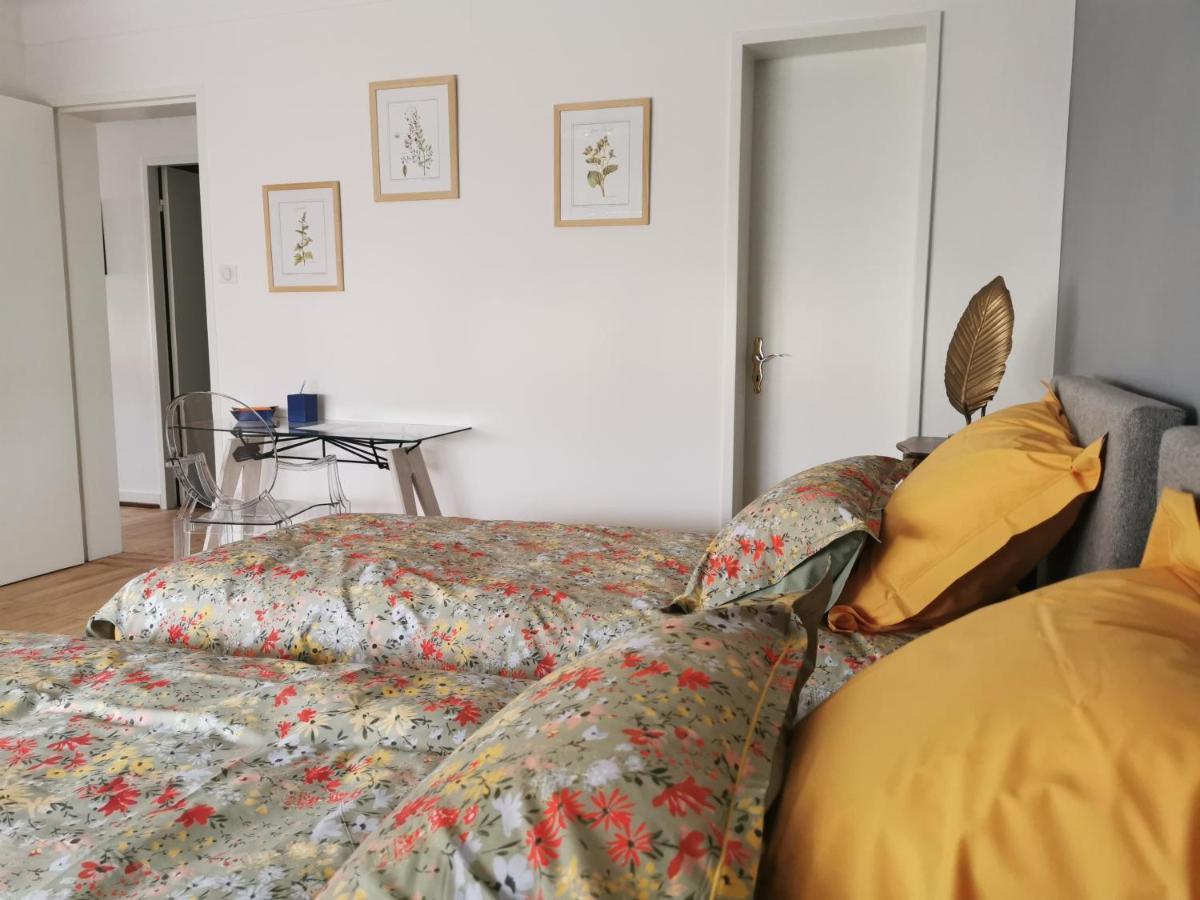 La Maison De Lucie - Grande Maison Ideale En Famille Ou Entre Amis - Jardin - Parking Gratuit Sélestat Buitenkant foto