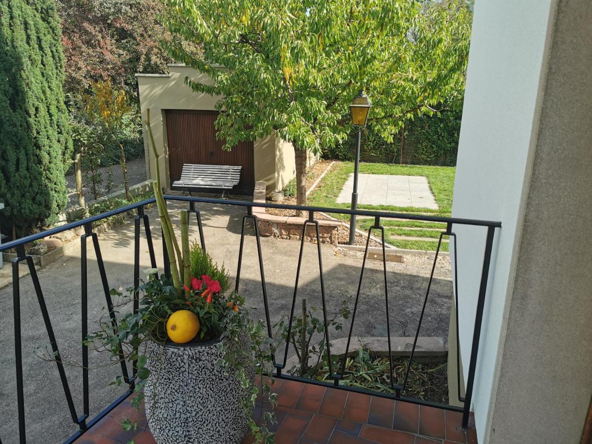 La Maison De Lucie - Grande Maison Ideale En Famille Ou Entre Amis - Jardin - Parking Gratuit Sélestat Buitenkant foto